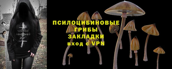 spice Алексеевка