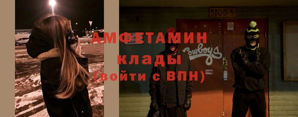 PSILOCYBIN Алзамай
