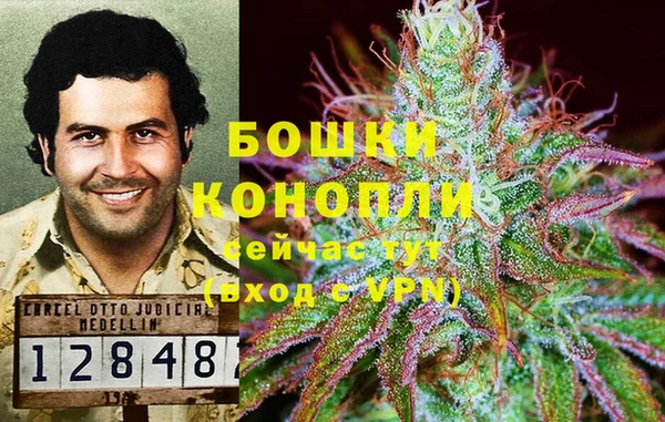 PSILOCYBIN Алзамай