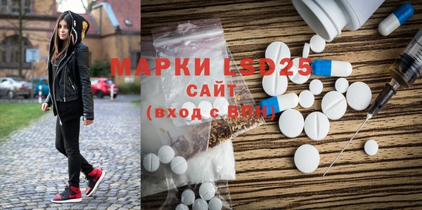 PSILOCYBIN Алзамай